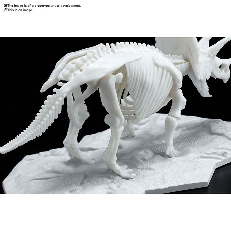 Plannosaurus - Limex Skeleton Triceratops - MEKA NEKO