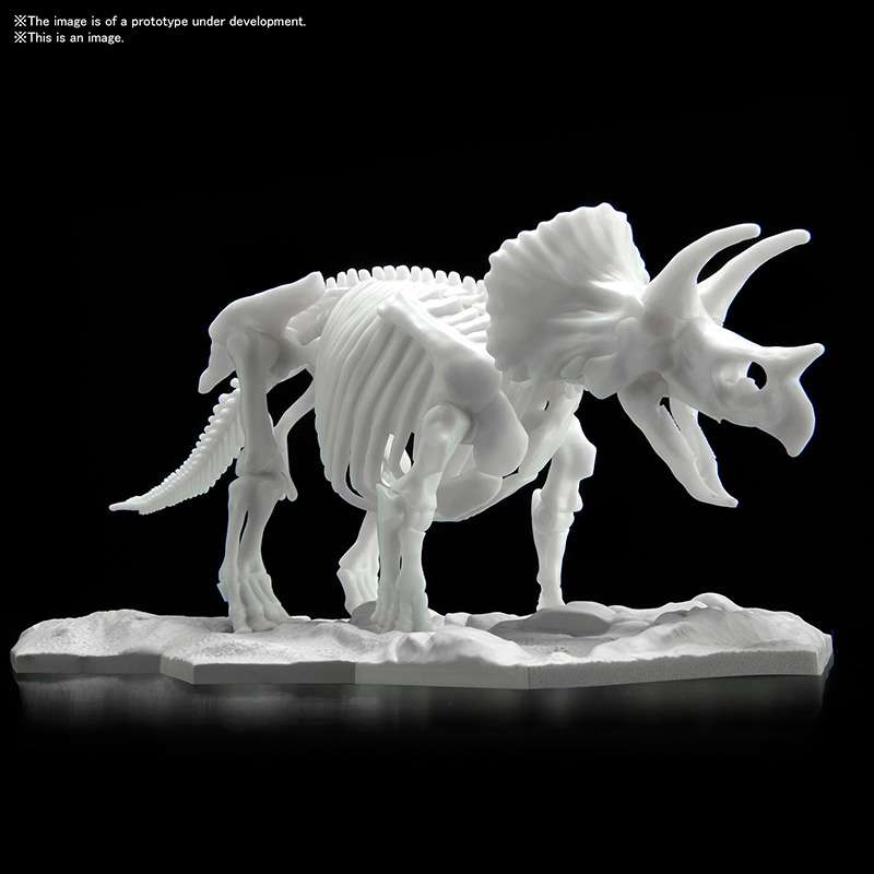 Plannosaurus - Limex Skeleton Triceratops - MEKA NEKO