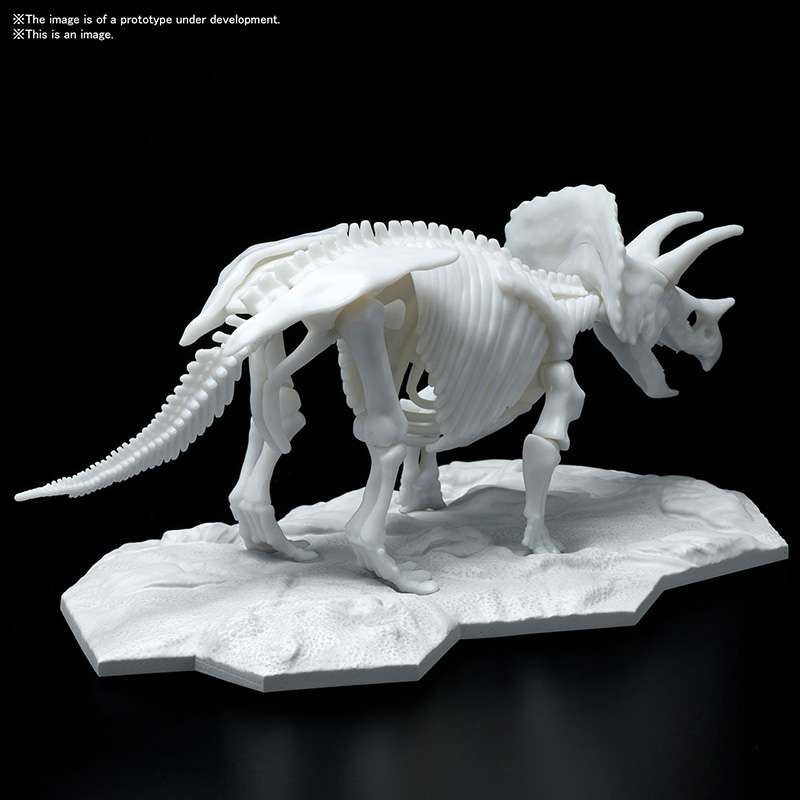 Plannosaurus - Limex Skeleton Triceratops - MEKA NEKO