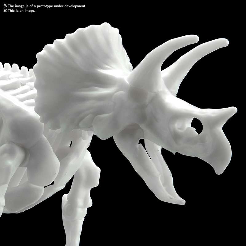 Plannosaurus - Limex Skeleton Triceratops - MEKA NEKO