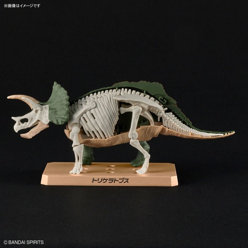 Plannosaurus - Tricératops - MEKA NEKO