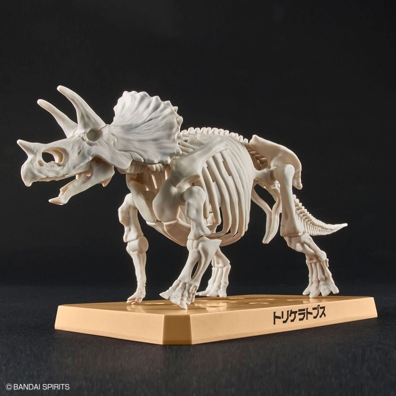 Plannosaurus - Tricératops - MEKA NEKO