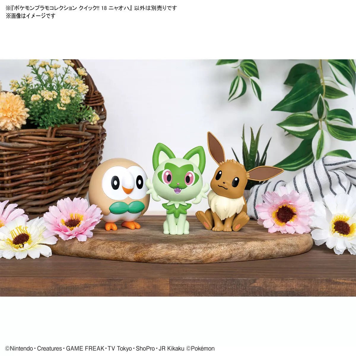 Pokémon Poképla 18 Poussacha - MEKA NEKO
