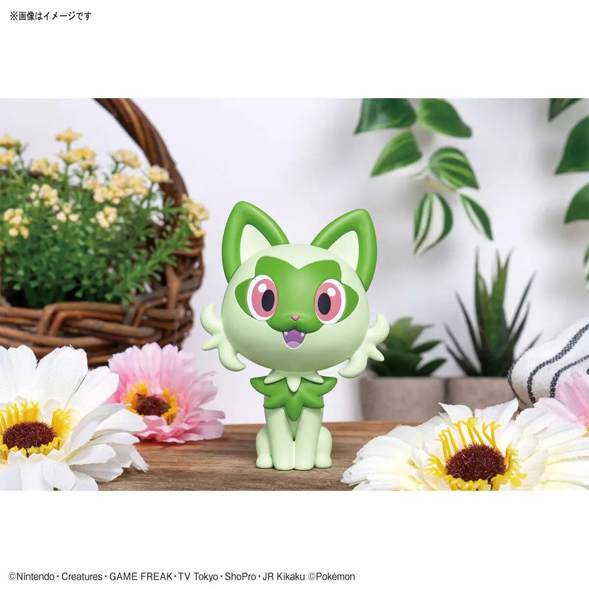 Pokémon Poképla 18 Poussacha - MEKA NEKO
