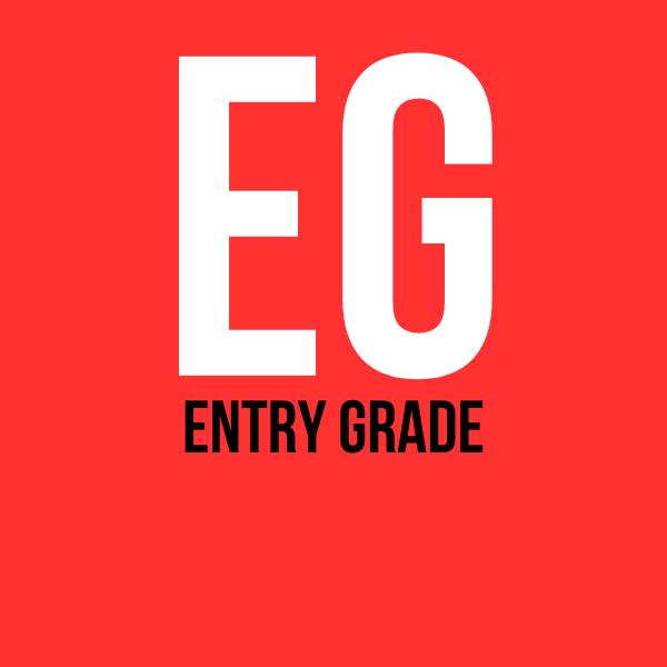 Gunpla Entry Grade 1/144 - MEKA NEKO