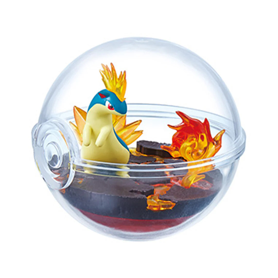 Pokémon Terrarium Volume 13